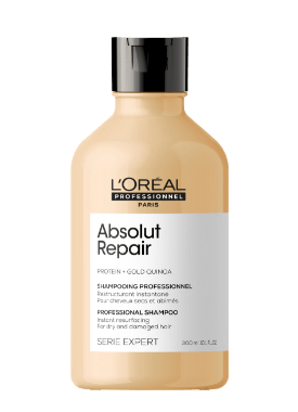 Absolut repair